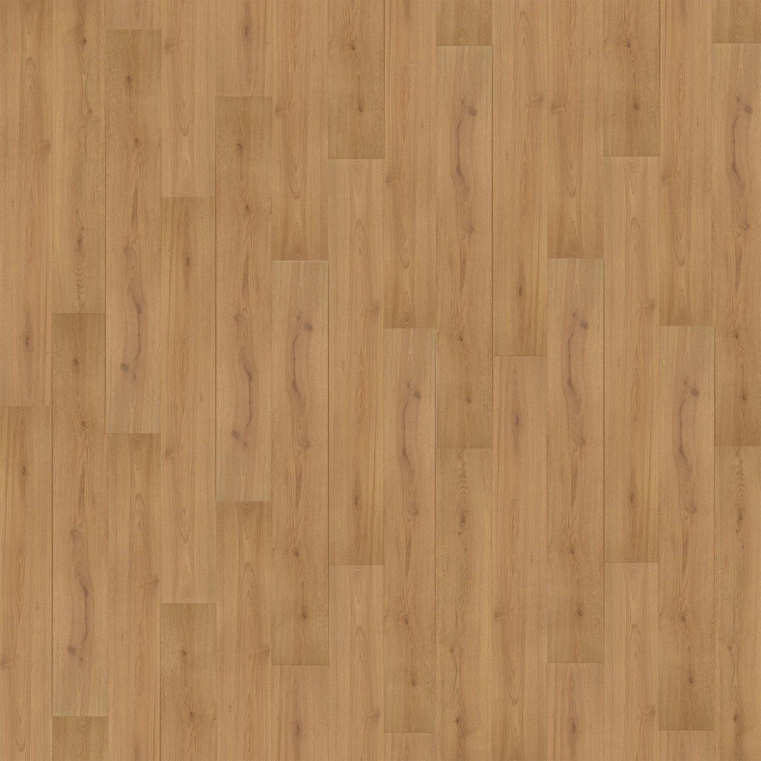 Trend Oak Nature - Standard Plus 7mm Laminate Flooring (108666) 3 Trend Oak Nature - Standard Plus 7mm Laminate Flooring (108666) - Image 3