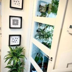 White Internal Primed Shaker 4 Light Clear Glass Door (51777) 11 White Internal Primed Shaker 4 Light Clear Glass Door (51777) -Oak Door Store 1716468670 94050300