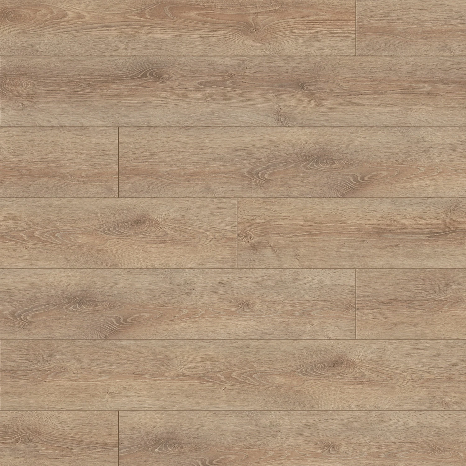 Clearwater Oak - Supernatural Classic 8mm Embossed Laminate Flooring (122560) 2 Clearwater Oak - Supernatural Classic 8mm Embossed Laminate Flooring (122560) - Image 2